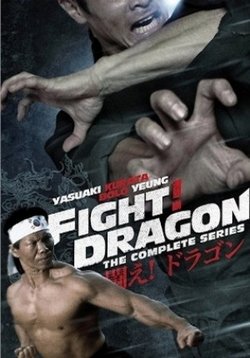 Сражайся! Дракон (Дерущийся дракон) — Fight! Dragon (Shen quan fei long) (1974)
