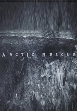 Арктические спасатели — Arctic rescue (2015)