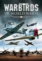 Железные птицы Второй Мировой войн — War Birds Of World War II (2008)