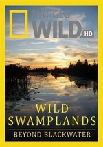 Дикие болота — Wild Swamplands (2013)