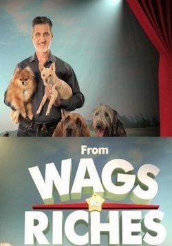 Дорога к славе — From Wags to Riches with Bill Berloni (2015)