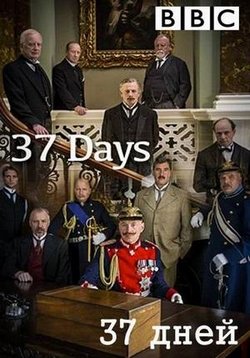 37 дней — 37 Days (2014)