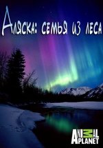Аляска: Семья из леса — Alaskan Bush People (2014-2022) 1,2,3,4,5,6,7,8,9,13,14 сезоны