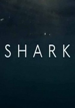 Вся правда об акулах — Shark (2015)