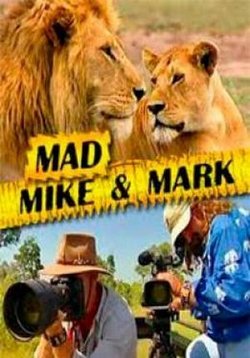Безумные Майк и Марк — Mad Mike &amp; Mark (2004)