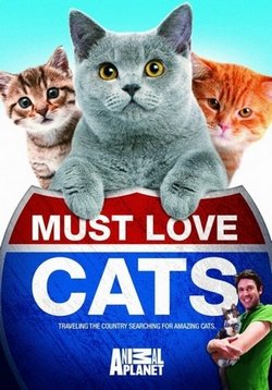 Кошек не любить нельзя (Любовь к кошкам обязательна) — Must Love Cats (2010-2012) 1,2 сезоны