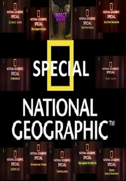 Специальный выпуск — Specials (2005-2009)