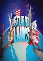 Нелепые законы Америки — Stupid laws (2013)
