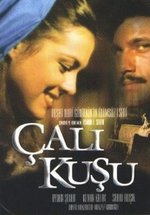 Королек - птичка певчая — Çalikusu (1986)