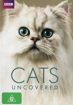 Кошачьи тайны — Cats uncovered (2014)