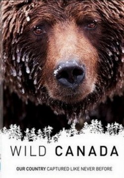 Дикая Канада — Wild Canada (2014)