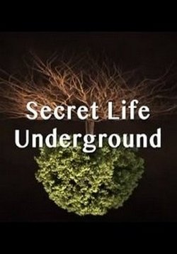 Тайны подземного мира (Секреты подземной жизни) — Secret Life Underground (2015)