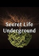 Тайны подземного мира (Секреты подземной жизни) — Secret Life Underground (2015)