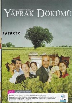 Листопад — Yaprak dökümü (2006-2009) 1,2,3,4,5 сезоны