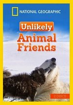 Странная дружба — Unlikely Animal Friends (2016)