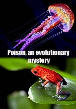 Яд. Достижение эволюции — Poison, an evolutionary mystery (2015)