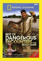 Опасные встречи — Dangerous encounters (2006-2011)