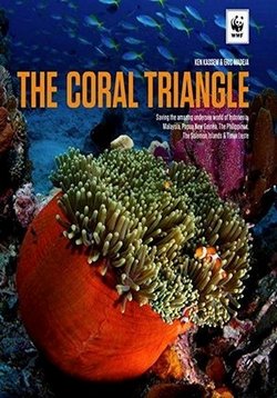 Великие тайны Кораллового треугольника — The Coral Triangle (2013)