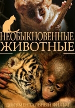 Необыкновенные животные — Extraordinary Animals (2008)