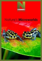 Нетронутые уголки дикой природы — Nature’s Microworlds (2012)
