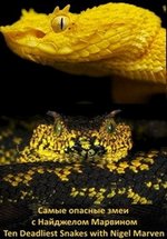 Самые опасные змеи с Найджелом Марвином — Ten Deadliest Snakes with Nigel Marven (2014)
