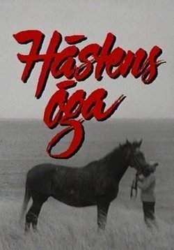 Глаза лошади — Hästens öga (1987)