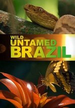 Дикая Бразилия — Wild Untamed Brazil (2014)