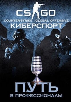 Киберспорт. Путь в профессионалы — Counter-Strike: Global Offensive (2015-2016)