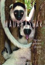 Мадагаскар. Земля, где эволюция шла своим путем — Madagascar: The land where evolution ran wild (2011)