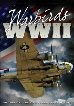 Боевые птицы Второй Мировой — Warbirds Of World War II (2000)