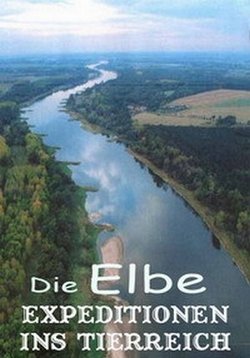 Путешествие в царство зверей. Бурные воды реки Эльба — Expeditionen ins Tierreich. Die Elbe (2014)