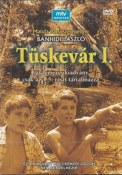 Терновая крепость — Tüskevár (1967)