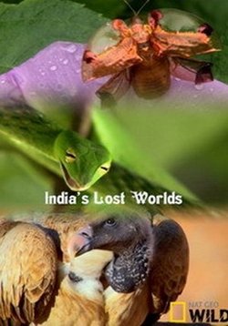 Потерянные миры Индии — India’s Lost Worlds (2015)