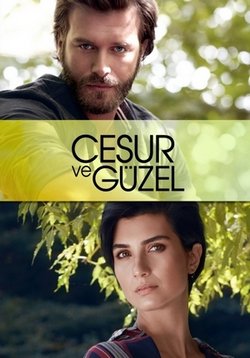 Отважный и красавица — Cesur ve Güzel (2016-2017)
