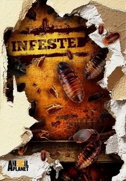 Вторжение паразитов (Нашествие) — Infested! (2011)