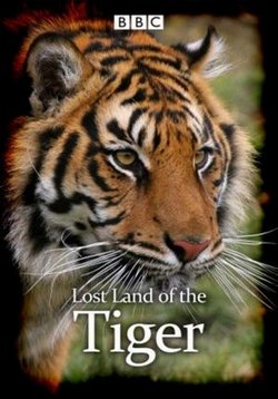 Экспедиция Тигр (В поисках последнего тигра) — Lost Land of the Tiger (2010)