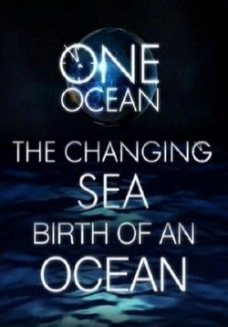 Один океан — One Ocean (2010)