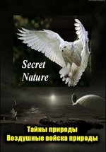 Тайны природы — Secret Nature (2004)