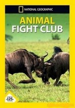 Бойцовский клуб для животных — Animal Fight Club (2013-2018) 1,2,3,4,5,6 сезоны