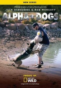 Собаки альфа — Alpha Dogs (2013)