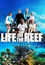 Жизнь на Большом Барьерном рифе — Life on the Reef (2014)