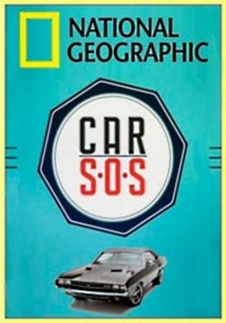 Авто S.O.S — Car S.O.S (2013)