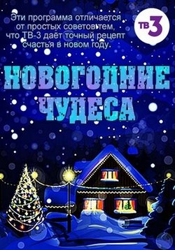 Новогодние чудеса — Novogodnie chudesa (2016)