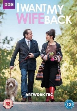 Хочу вернуть свою жену — I Want My Wife Back (2016)