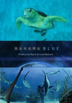 Голубые Багамы — Bahama Blue (2014)