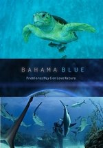 Голубые Багамы — Bahama Blue (2014)