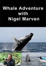 Вслед за китами с Найджелом Марвином — Whale Adventure with Nigel Marven (2013)