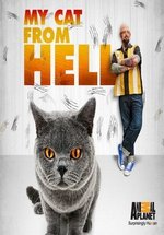 Адская кошка (Кот из ада) — My Cat from Hell (2011-2017) 1,2,3,4,5,6,7,8,9 сезоны