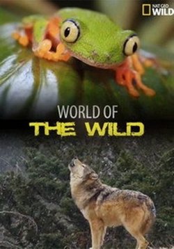 Мир дикой природы — World of the Wild (2016)