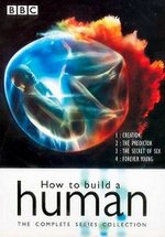 Как сконструировать человека — How to build a human (2004)